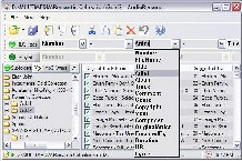 Core  webmoney   